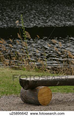 Stock Image - water, river, natural, leaves, riverside, scene. Fotosearch