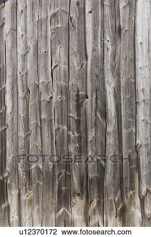 Wood Grain, Appearance View Large Photo Image Stock Image - Wood Grain, Appearance. Fotosearch