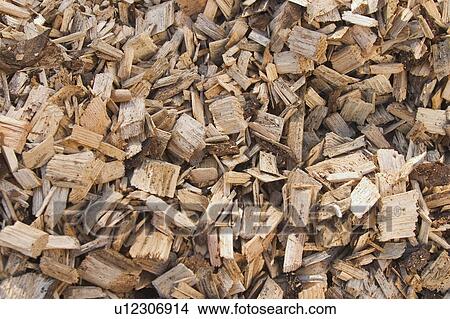 Picture - wood, wooden, pile, heap, shavings, wood shavings. Fotosearch
