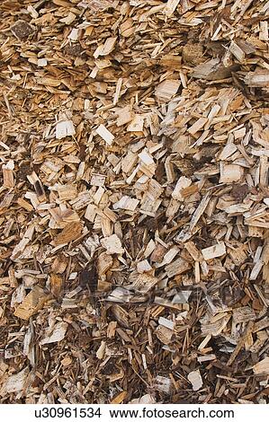 Picture - wood, wooden, pile, heap, shavings, wood shavings. Fotosearch