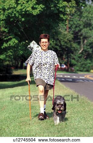 Woman with a disability, utilizing a cane for mobility assistance, walking her scruffy dog in her neighborhood. View Large Photo Image Picture - Woman with a disability, utilizing a cane for mobility assistance, walking her scruffy dog in her neighborhood.. Fotosearch