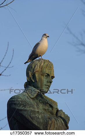 Stock Photo - A bird sitting on the head of a human statue in Montreal, Canada. Fotosearch