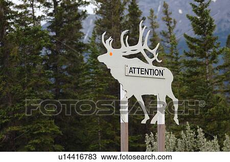 Attention sign in the shape of an elk, Jasper National Park, Canada View Large Photo Image Stock Image - Attention sign in the shape of an elk, Jasper National Park, Canada. Fotosearch