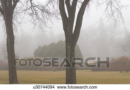 autumn fog in Assiniboine Park, Winnipeg, Manitoba View Large Photo Image Picture - autumn fog in Assiniboine Park, Winnipeg, Manitoba. Fotosearch
