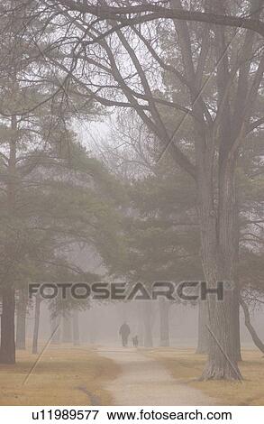 autumn fog in Assiniboine Park, Winnipeg, Manitoba View Large Photo Image Stock Photo - autumn fog in Assiniboine Park, Winnipeg, Manitoba. Fotosearch