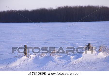 Beach - Gimli, Manitoba View Large Photo Image Stock Photo - Beach - Gimli, Manitoba. Fotosearch