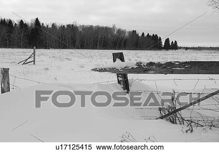 Beach - Gimli, Manitoba View Large Photo Image Stock Photography - Beach - Gimli, Manitoba. Fotosearch