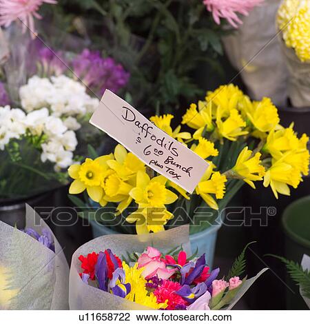 Bunches of Flowers View Large Photo Image Stock Image - Bunches of Flowers. Fotosearch