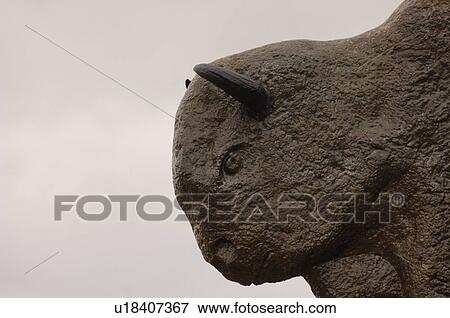 Carving of Buffalo head View Large Photo Image Stock Photo - Carving of Buffalo head. Fotosearch