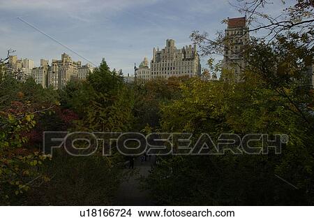 Picture - Central Park, New York City. Fotosearch