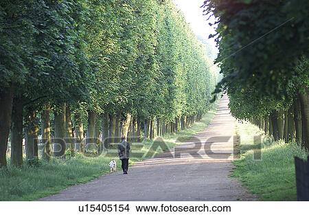 Chateau de Versailles, France View Large Photo Image Picture - Chateau de Versailles, France. Fotosearch