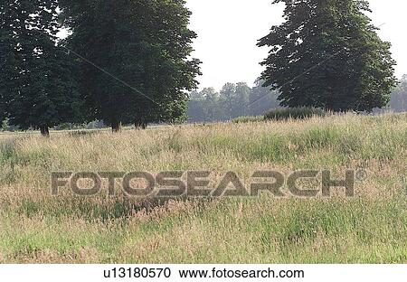 Stock Image - Chateau de Versailles, France. Fotosearch