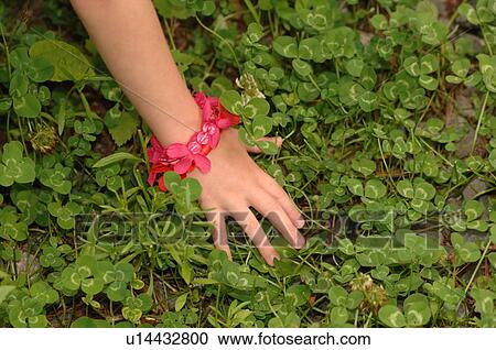 Child's hand against green leaves View Large Photo Image Stock Image - Child's hand against green leaves. Fotosearch
