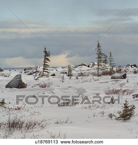 Stock Image - Churchill Northern Manitoba Canada Tundra Landscape. Fotosearch