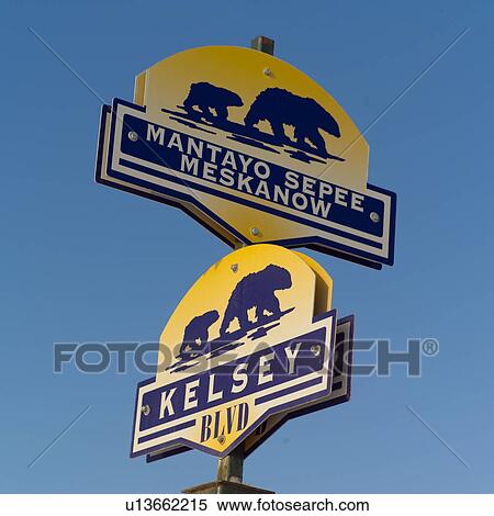 Churchill Northern Manitoba Churchill Street Signs View Large Photo Image Stock Photography - Churchill Northern Manitoba Churchill Street Signs. Fotosearch
