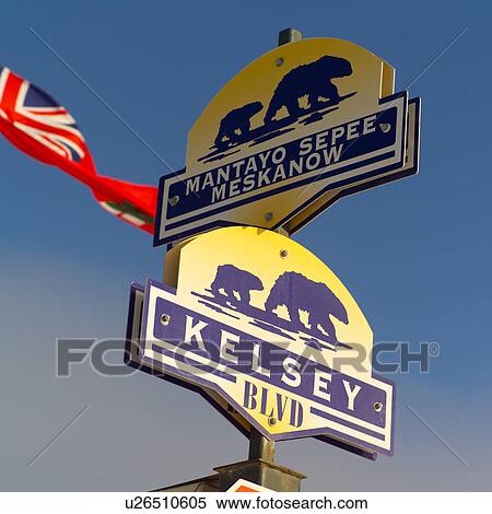 Churchill Northern Manitoba Churchill Street Signs View Large Photo Image Stock Photography - Churchill Northern Manitoba Churchill Street Signs. Fotosearch