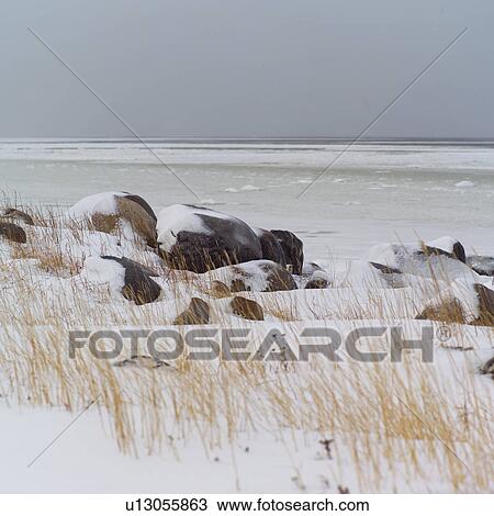 Churchill Northern Manitoba Rocks by Shoreline View Large Photo Image Stock Image - Churchill Northern Manitoba Rocks by Shoreline. Fotosearch
