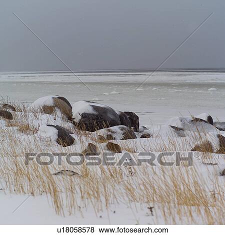 Stock Photo - Churchill Northern Manitoba Rocks by Shoreline. Fotosearch