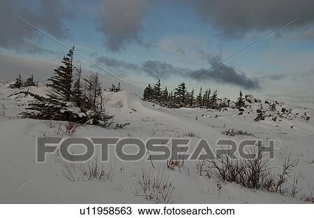 Stock Image - Churchill Northern Manitoba town and surroundings landscape. Fotosearch