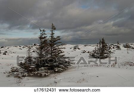 Stock Image - Churchill Northern Manitoba town and surroundings landscape. Fotosearch