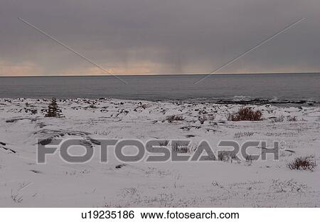 Churchill Northern Manitoba town and surroundings Tundra Shoreliine View Large Photo Image Stock Photograph - Churchill Northern Manitoba town and surroundings Tundra Shoreliine. Fotosearch