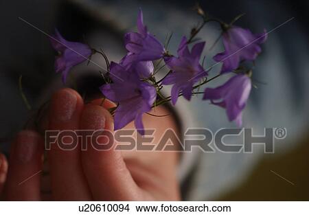 Close-up of a flowering plant View Large Photo Image Picture - Close-up of a flowering plant. Fotosearch