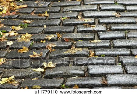 Close-up of cobbled stone path in Prague View Large Photo Image Stock Image - Close-up of cobbled stone path in Prague. Fotosearch