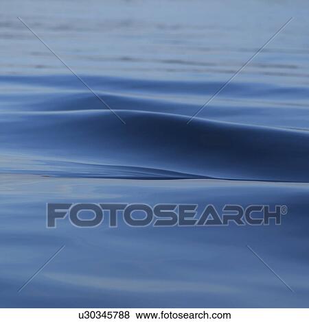 Close-up of waves on the surface of Lake of the woods, Ontario, Canada View Large Photo Image Stock Photo - Close-up of waves on the surface of Lake of the woods, Ontario, Canada. Fotosearch