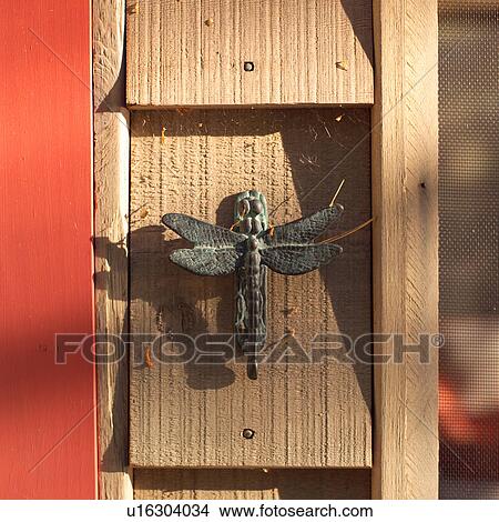 Dragon Fly doorknocker on wall View Large Photo Image Picture - Dragon Fly doorknocker on wall. Fotosearch