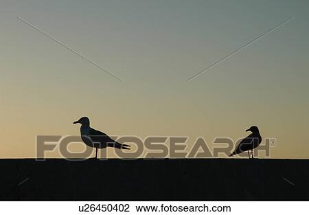 Gimli Manitoba View Large Photo Image Stock Image - Gimli Manitoba. Fotosearch