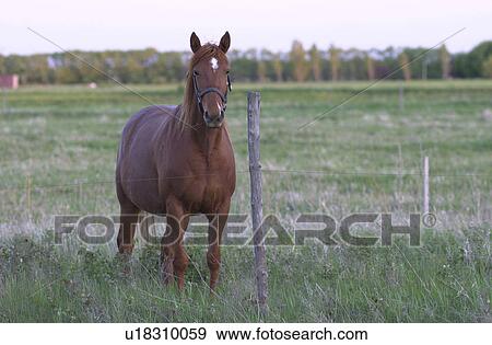 Gimli - Rural area View Large Photo Image Stock Photo - Gimli - Rural area. Fotosearch
