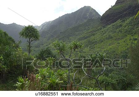 Hawaii & Kaui View Large Photo Image Stock Image - Hawaii & Kaui. Fotosearch