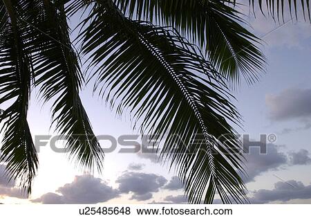 Hawaii & Kaui View Large Photo Image Stock Photo - Hawaii & Kaui. Fotosearch