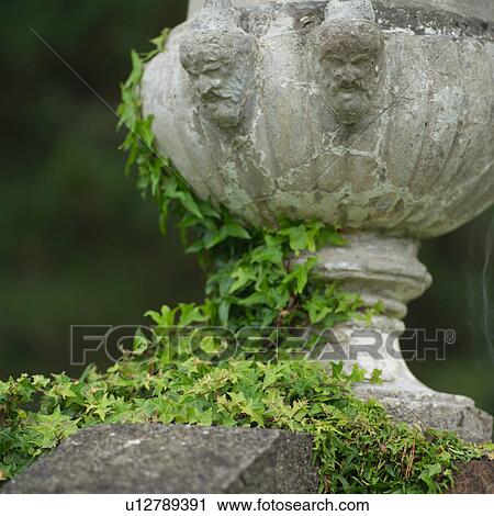 Stock Image - Ireland - Bantry House. Fotosearch