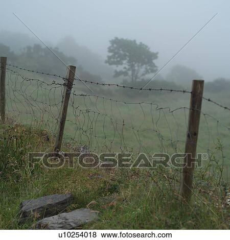 Stock Photo - Ireland - fog with fence in Irish countryside. Fotosearch