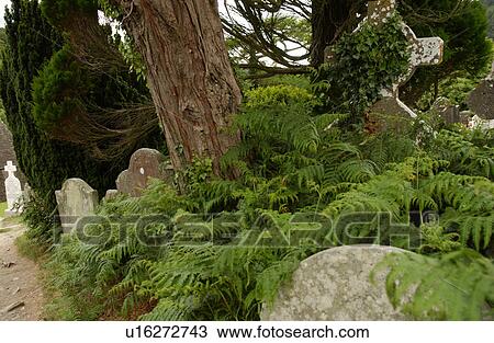 Stock Image - Ireland - Glendalough cemetery. Fotosearch