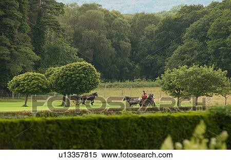 Ireland - Killarney - horse and cart in field View Large Photo Image Stock Photography - Ireland - Killarney - horse and cart in field. Fotosearch