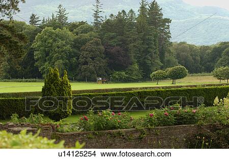 Picture - Ireland - Muckross House, Killarney - horse and cart in field. Fotosearch