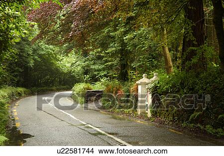 Ireland - road in countryside View Large Photo Image Picture - Ireland - road in countryside. Fotosearch