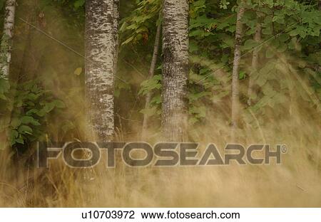 Lake lifestyle View Large Photo Image Stock Image - Lake lifestyle. Fotosearch