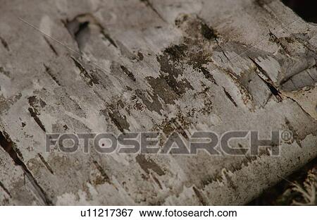 Lake lifestyle View Large Photo Image Stock Photo - Lake lifestyle. Fotosearch