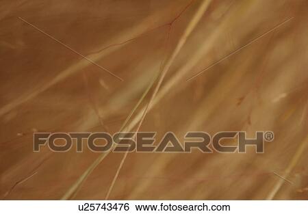 Lake lifestyle View Large Photo Image Stock Photograph - Lake lifestyle. Fotosearch