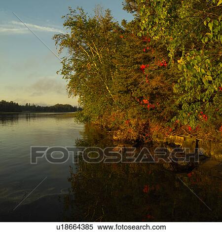 Stock Photography - Lake of the woods - Ontario, Canada. Fotosearch