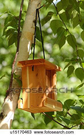 Stock Image - Lake Photography. Fotosearch