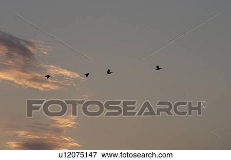 Lake Photography View Large Photo Image Stock Photo - Lake Photography. Fotosearch