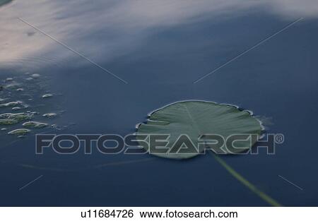 Lake Photography View Large Photo Image Stock Photograph - Lake Photography. Fotosearch