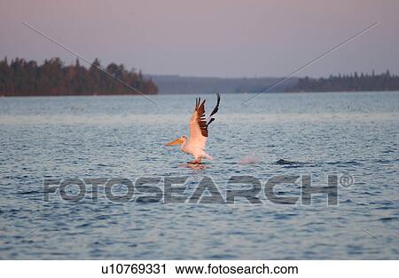 Stock Image - Lake Scenes. Fotosearch