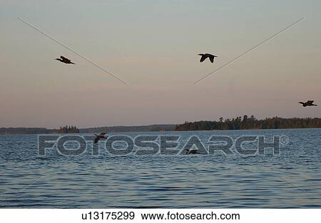 Lake Scenes View Large Photo Image Stock Photo - Lake Scenes. Fotosearch