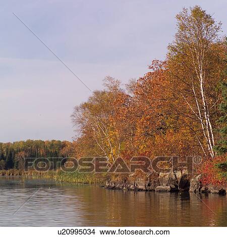 Lake shoreline in autumn colours View Large Photo Image Picture - Lake shoreline in autumn colours. Fotosearch