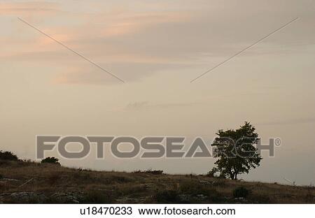 Stock Image - Landscapes - Tuscany, Italy. Fotosearch